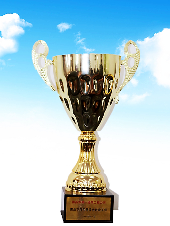 2014.1市政金杯獎--南昌市陽明路綜合改造工程.jpg 2014.1市政金杯獎--南昌市陽明路綜合改造工程.jpg